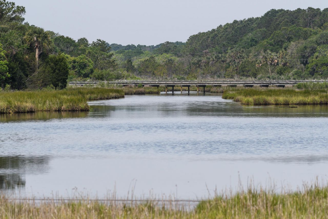 4129 Gnarled Oaks Lane Photo 43