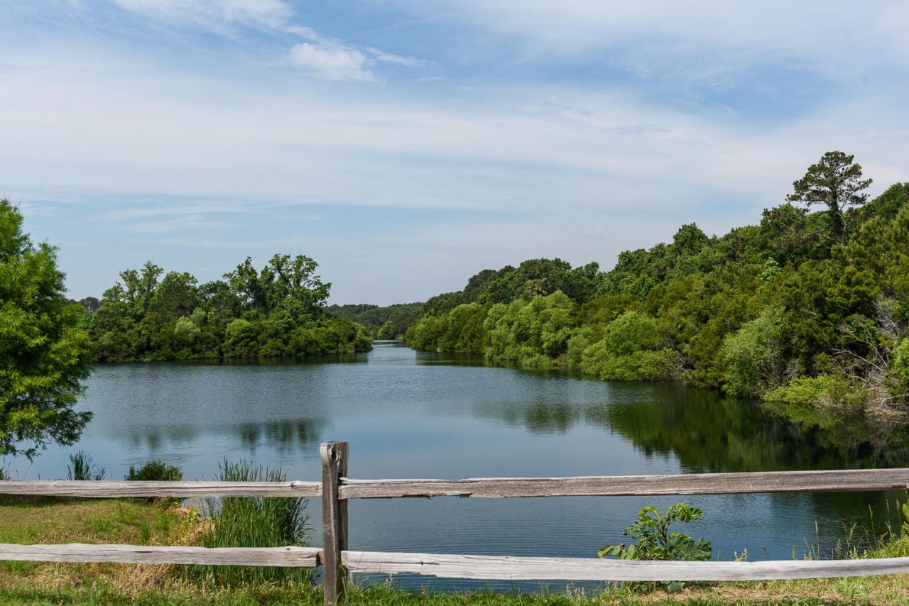 4129 Gnarled Oaks Lane Photo 55
