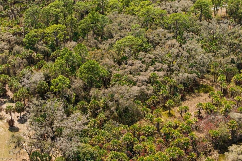 3751 Bateman Rd , Alva, FL 33920 Photo