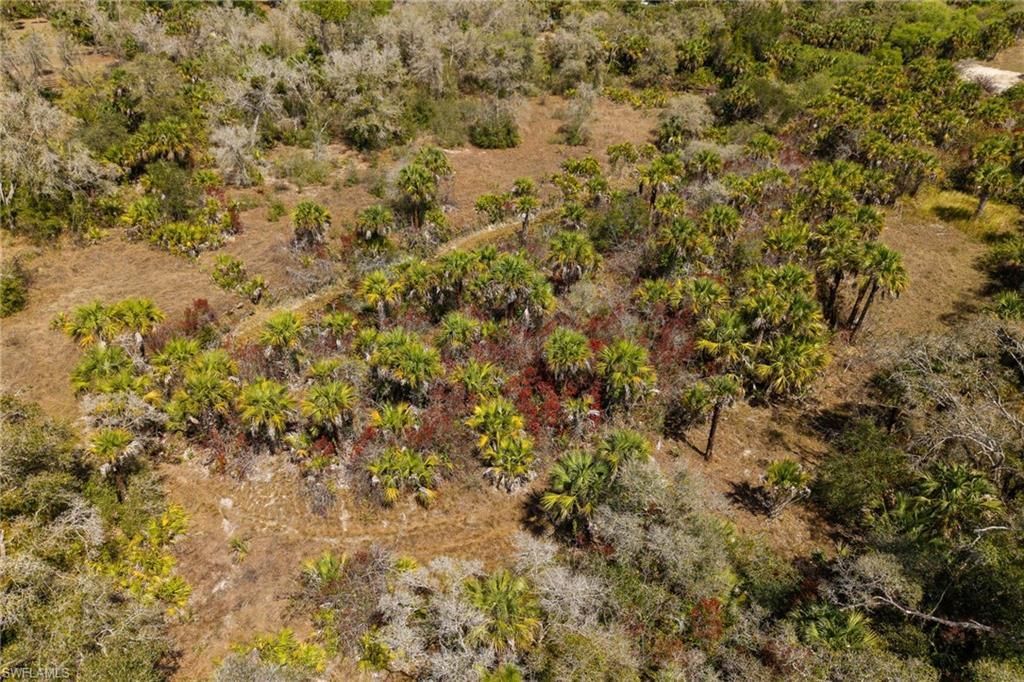 3751 Bateman Rd , Alva, FL 33920 Photo