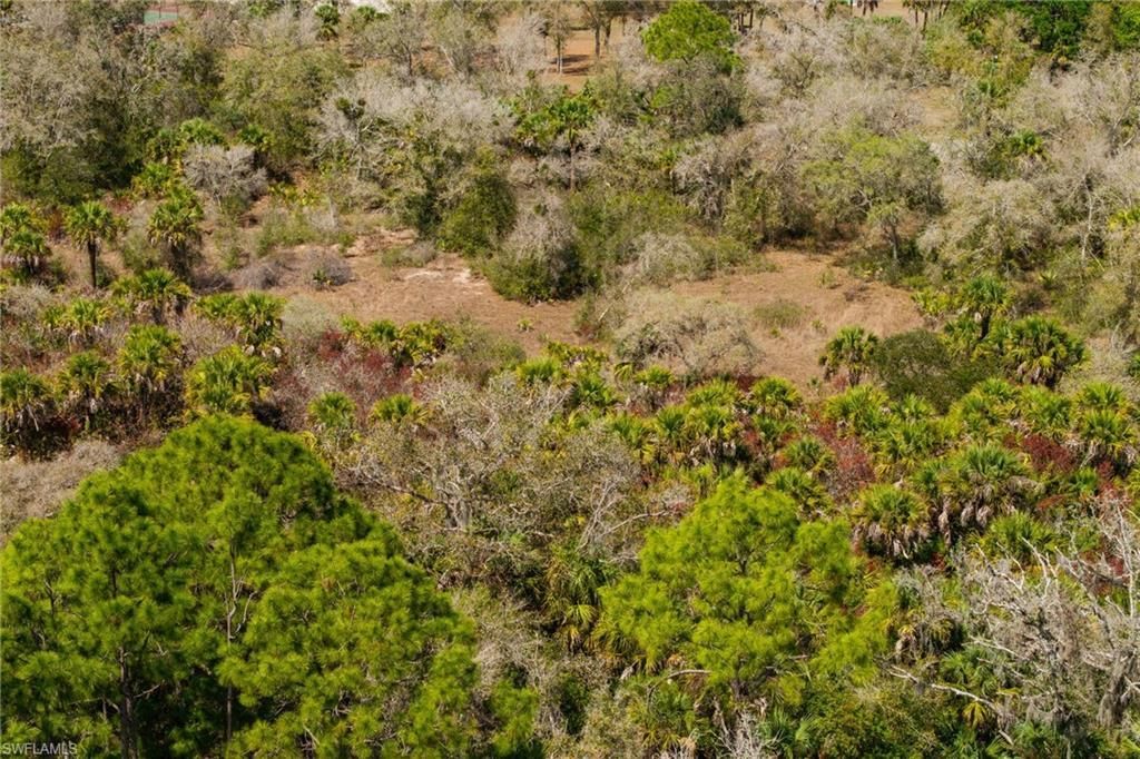 3751 Bateman Rd , Alva, FL 33920 Photo