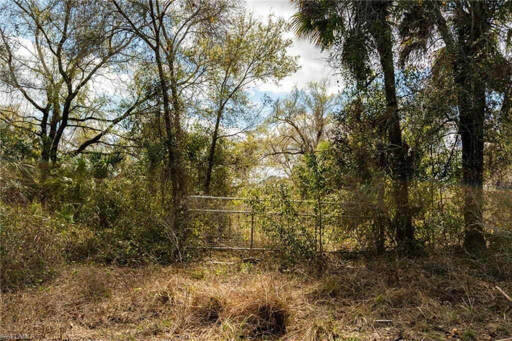 3751 Bateman Rd , Alva, FL 33920 Photo