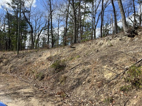 1154 Chestnut Ridge Court, Sevierville, TN 37876