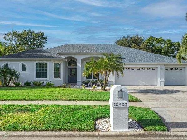 18902 SAINT LAURENT DRIVE , LUTZ, FL 33558
