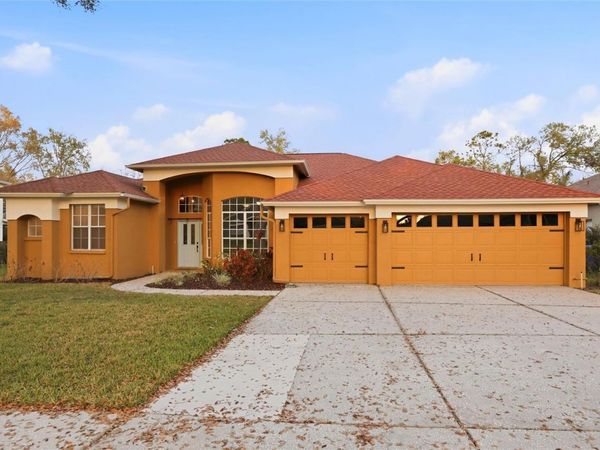 5114 TWIN CREEKS DRIVE , VALRICO, FL 33596