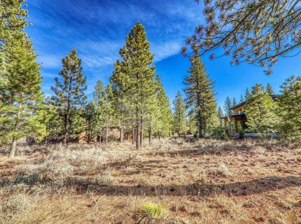 10020 Chaparral Court, Truckee, CA 96161 Photo