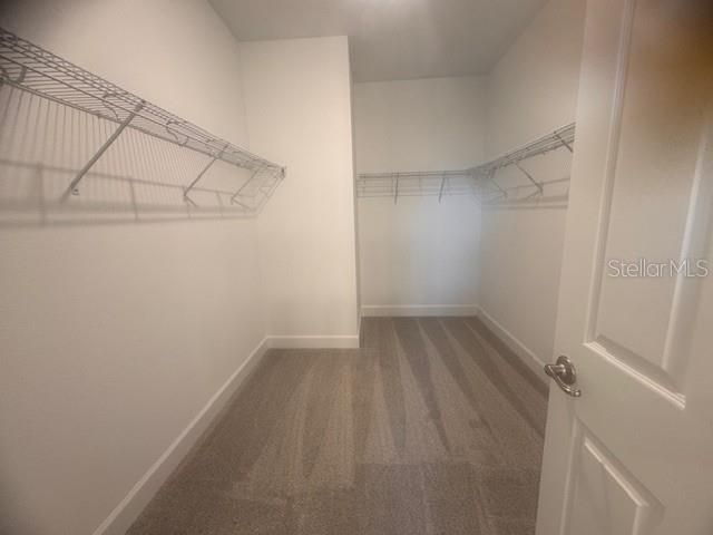 4763 Turkey Outlook Road , Apopka, FL 32712 Photo