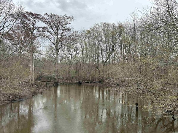 SFC 255 , Palestine, AR 72372