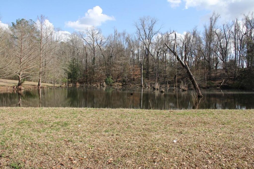 6611 North Road Photo 13