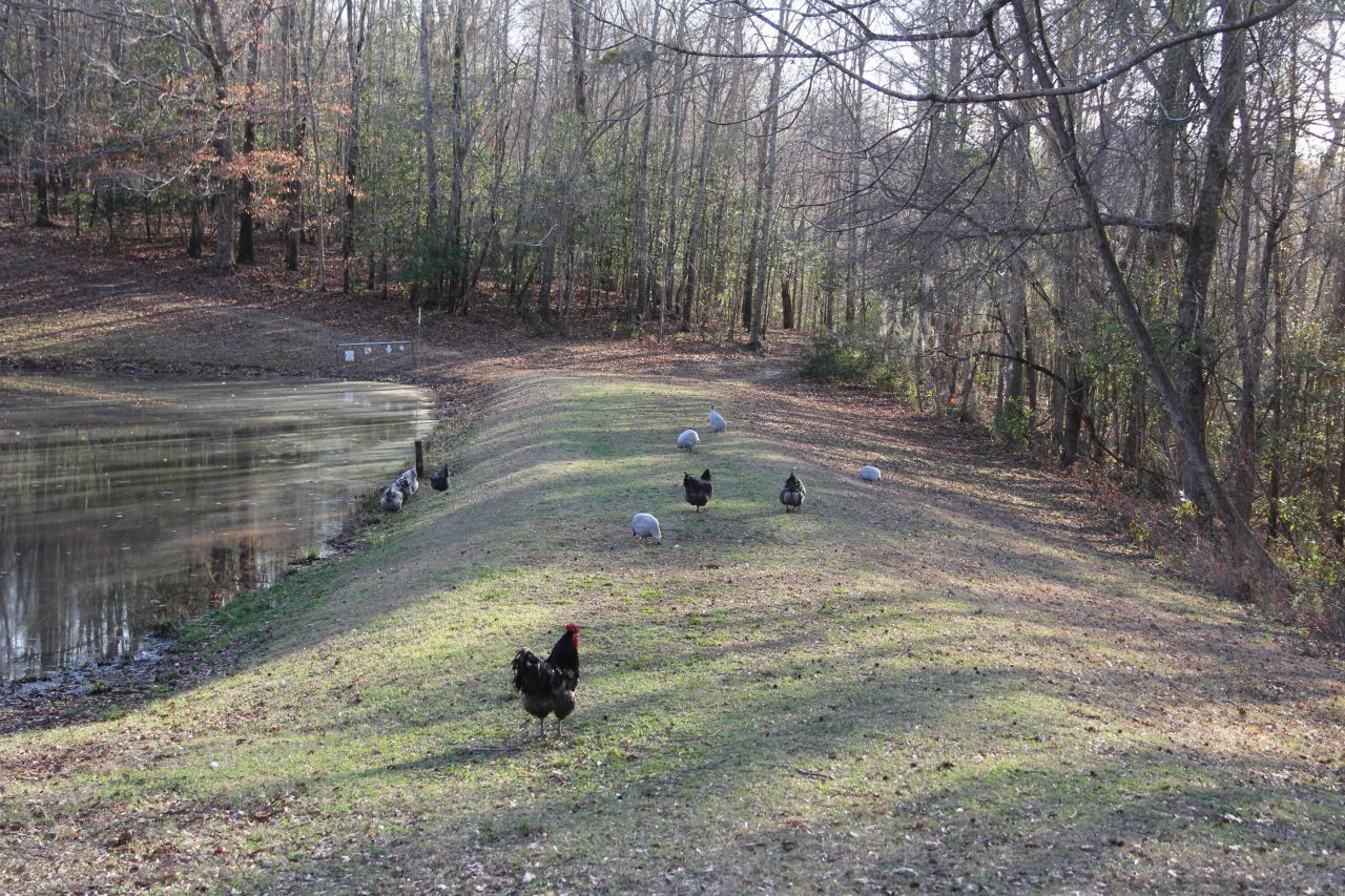 6611 North Road Photo 35