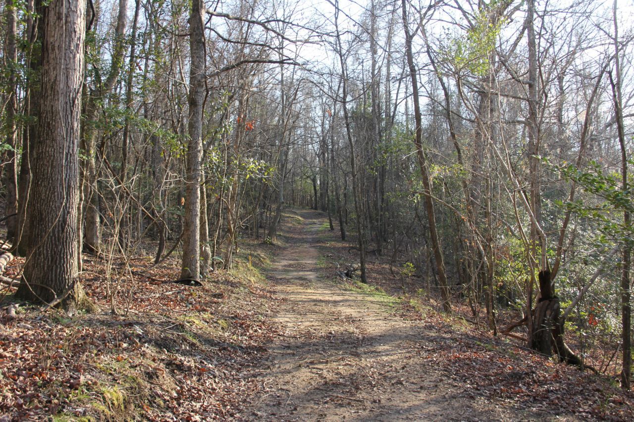 6611 North Road Photo 37