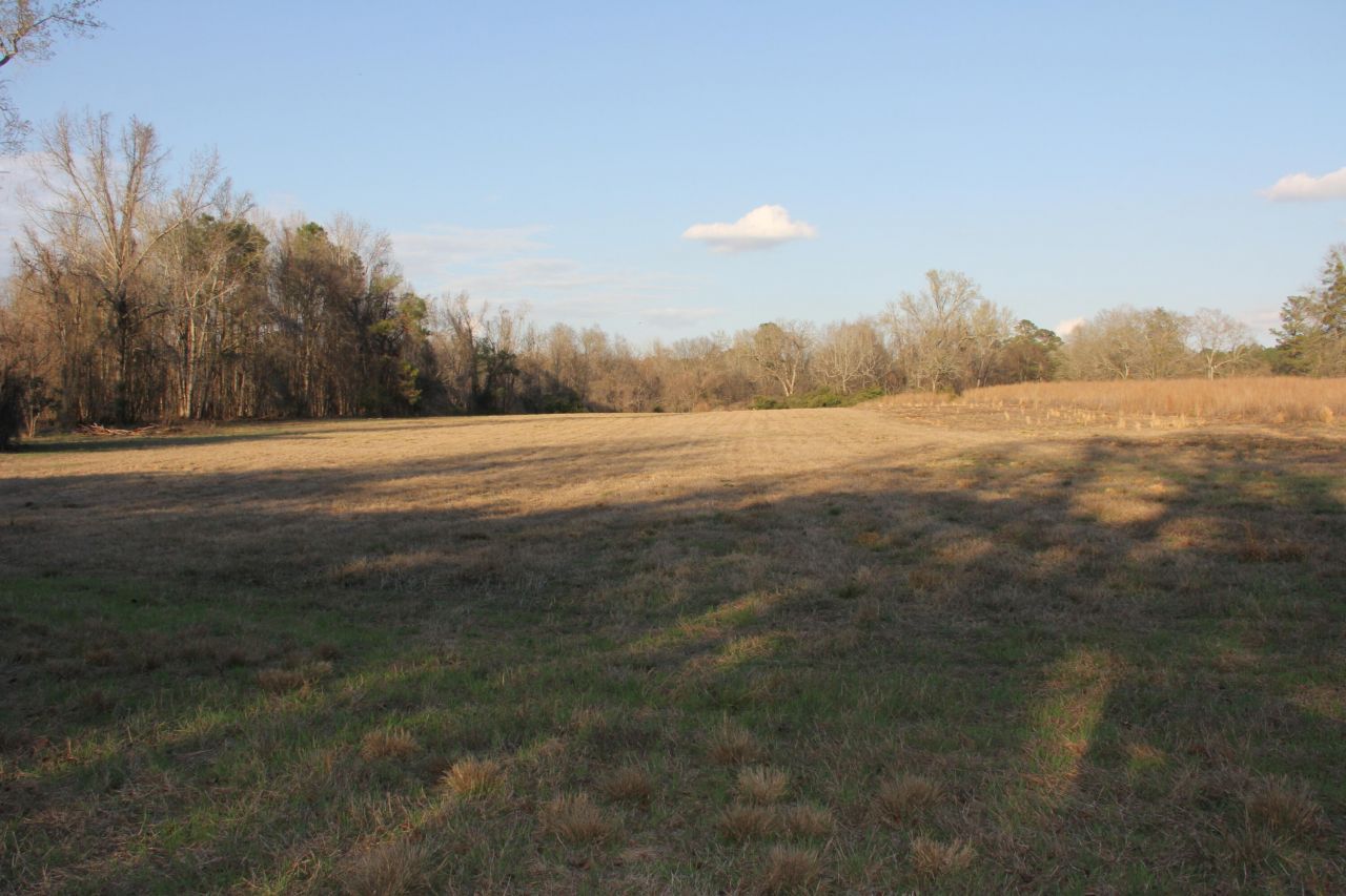 6611 North Road Photo 39