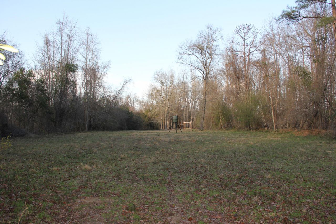 6611 North Road Photo 41