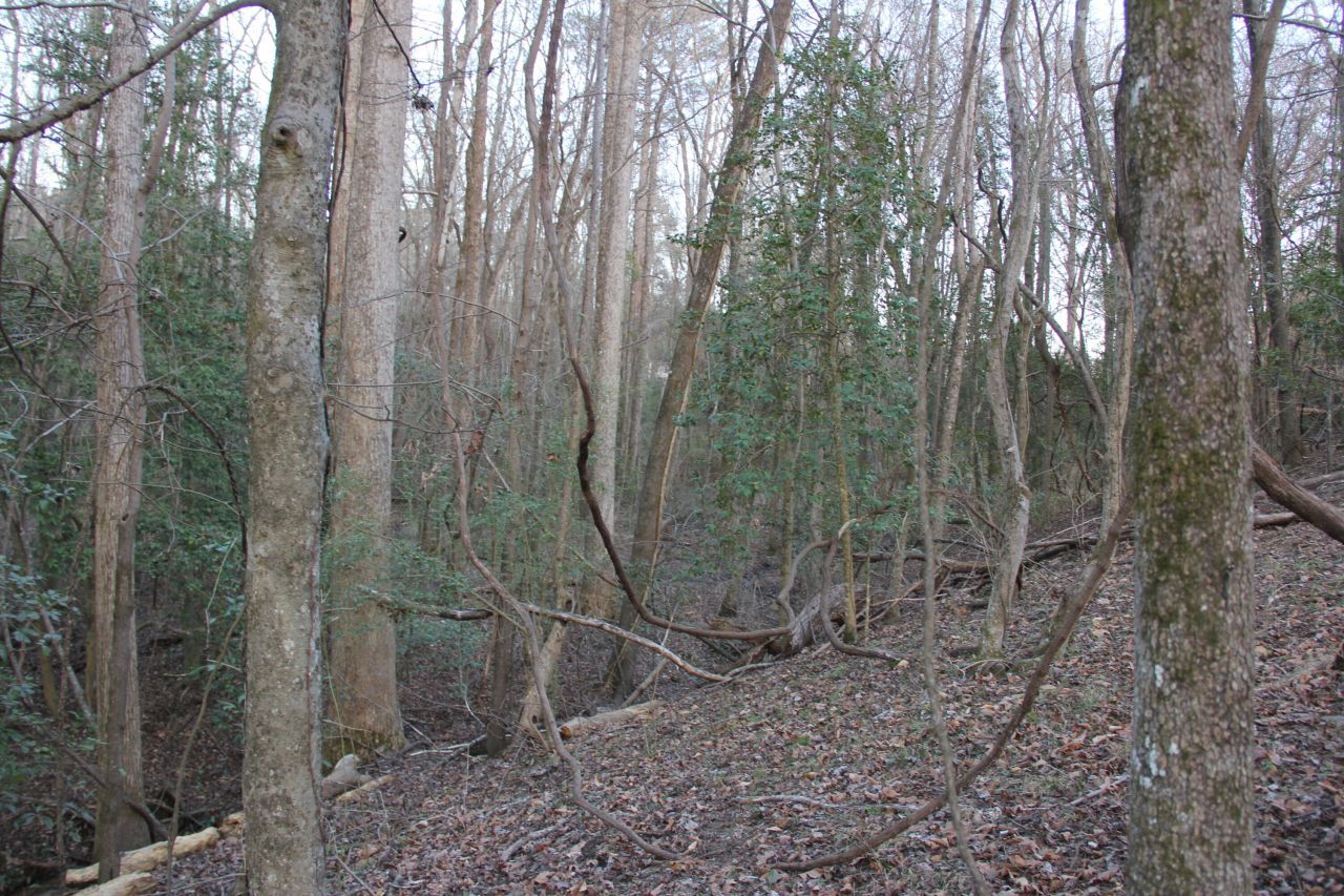 6611 North Road Photo 43