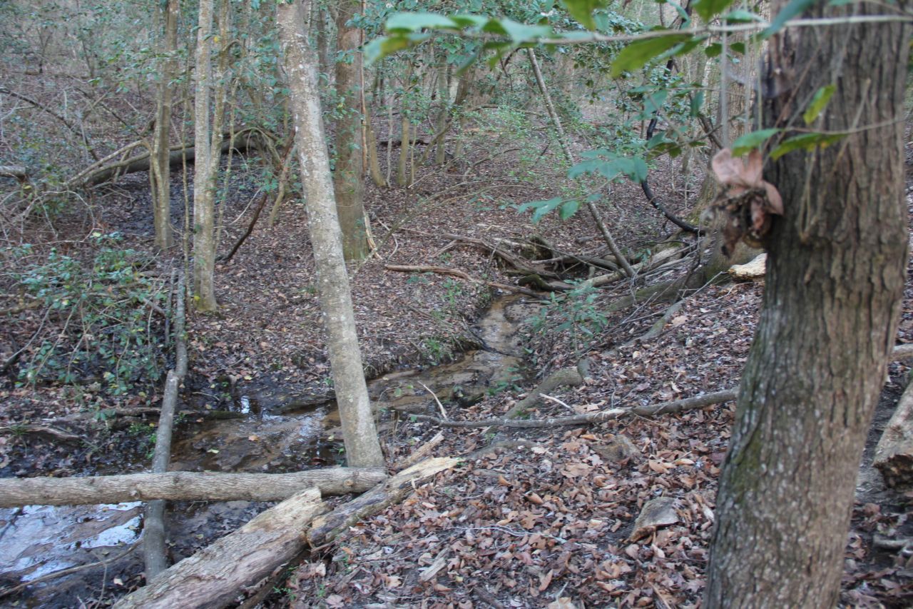 6611 North Road Photo 44