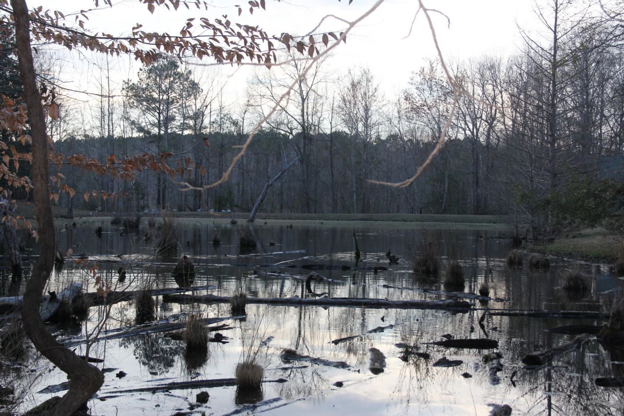 6611 North Road Photo 45