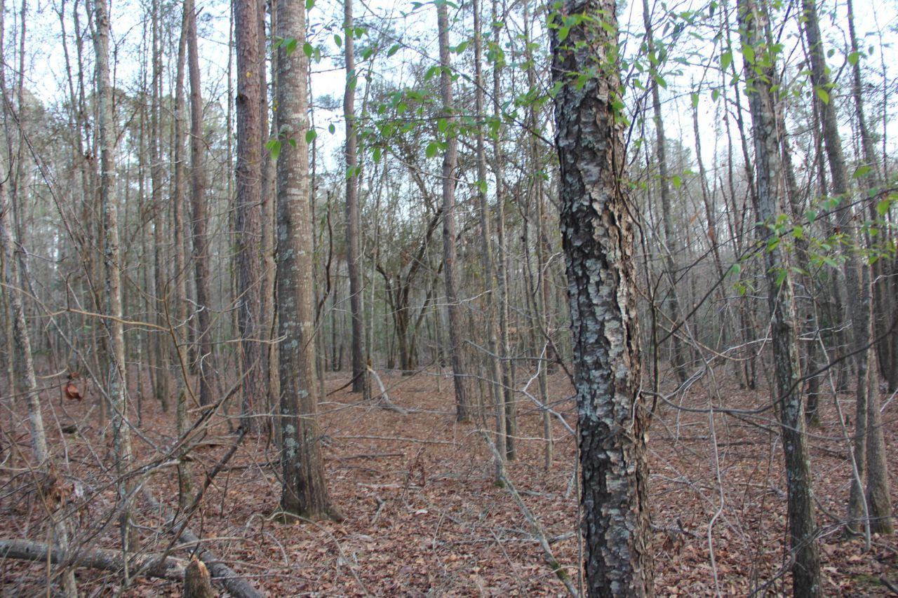 6611 North Road Photo 7