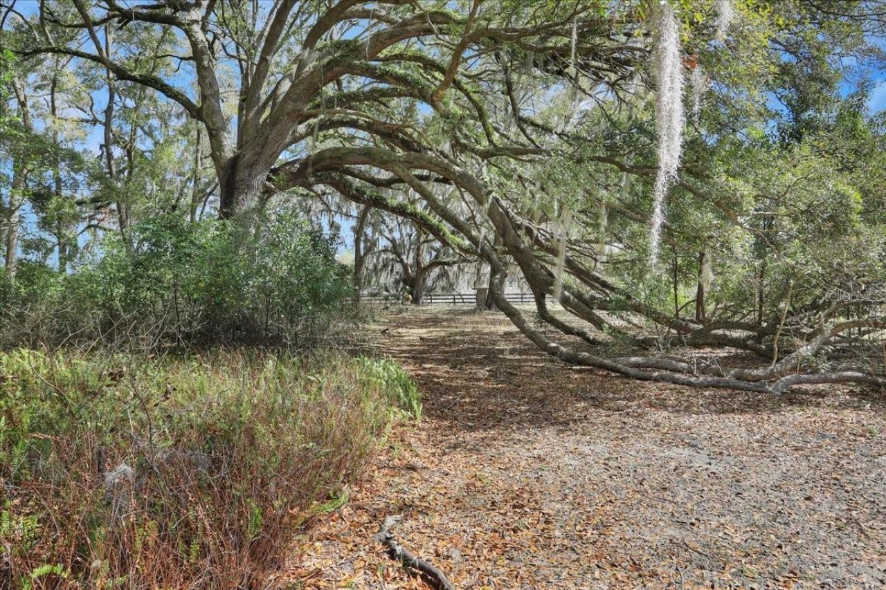 23748 NW 142nd Avenue, High Springs, FL 32643 Photo