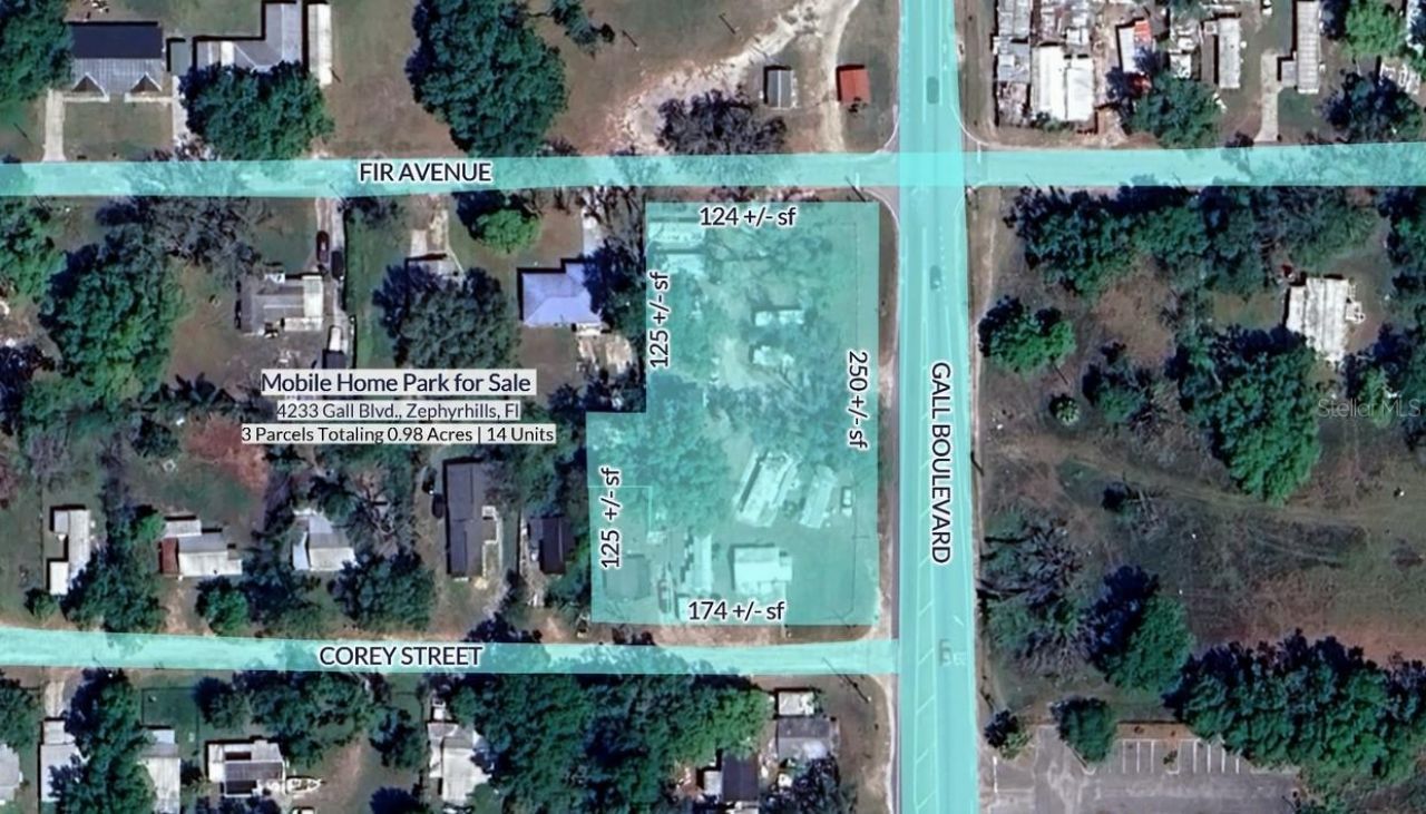 4233 Gall Boulevard , Zephyrhills, FL 33542 Photo