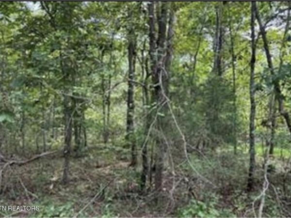 406 Wahoo Drive , Crossville, TN 38572