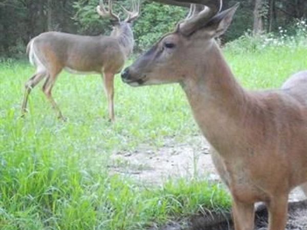 890 S Independence Road, Independence, WI 54747