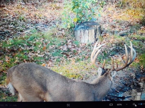 890 S Independence Road, Independence, WI 54747