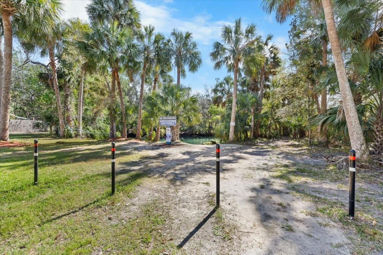 6093 Avenue Of The Palms, Weeki Wachee, FL 34607 Photo
