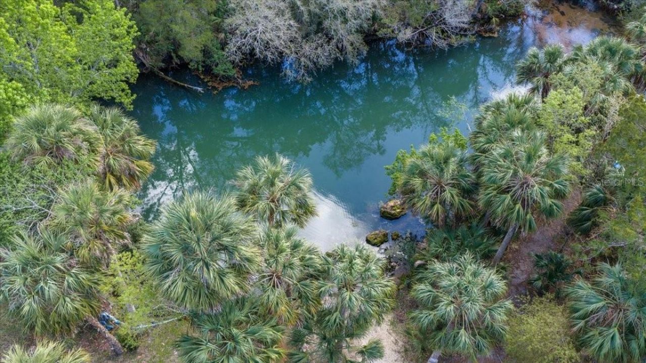 6093 Avenue Of The Palms, Weeki Wachee, FL 34607 Photo