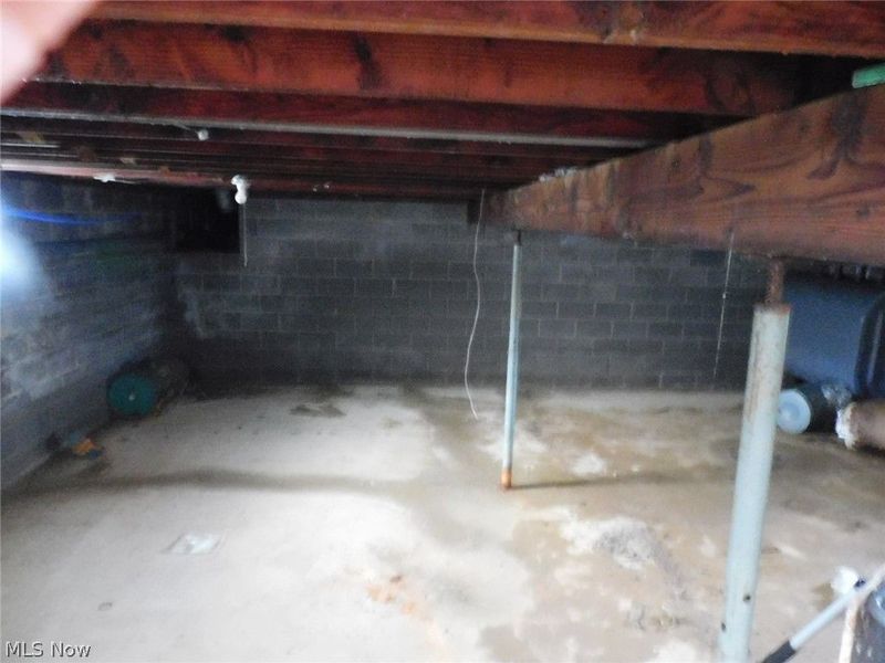 1790 Dadeyville Road, Austinburg, OH 44010 Photo 20