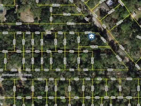 0 NE 227TH STREET , FORT MC COY, FL 32134