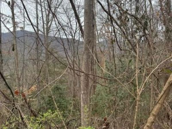 2264 Stoneview Way, Cosby, TN 37722