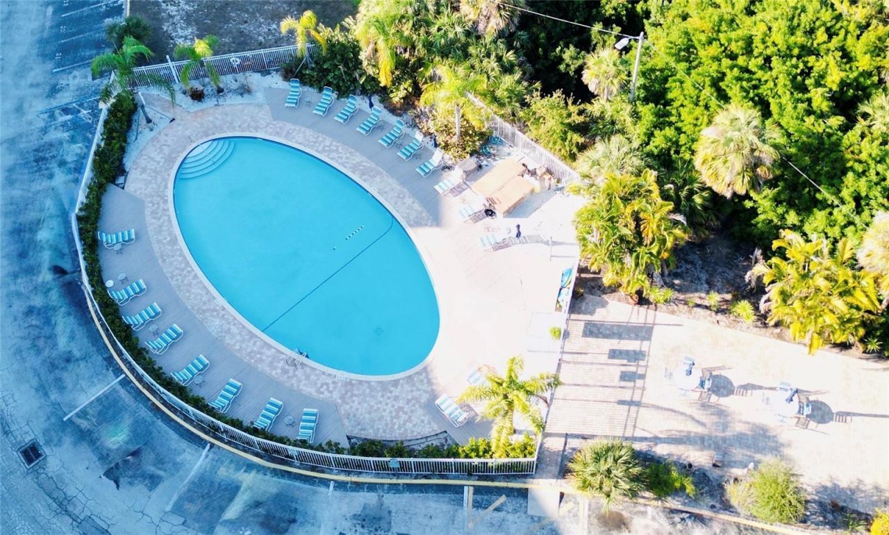 3315 58th Avenue S, Unit 310, Saint Petersburg, FL 33712 Photo