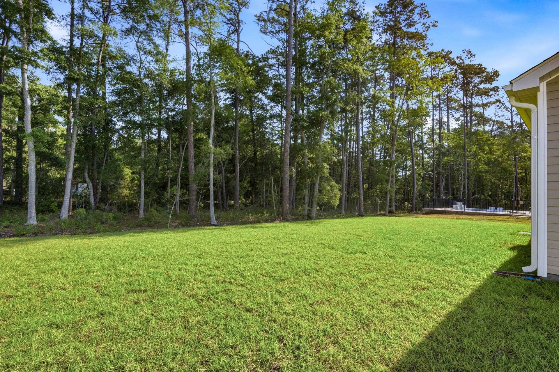 98 Anna Marie Way Photo 37