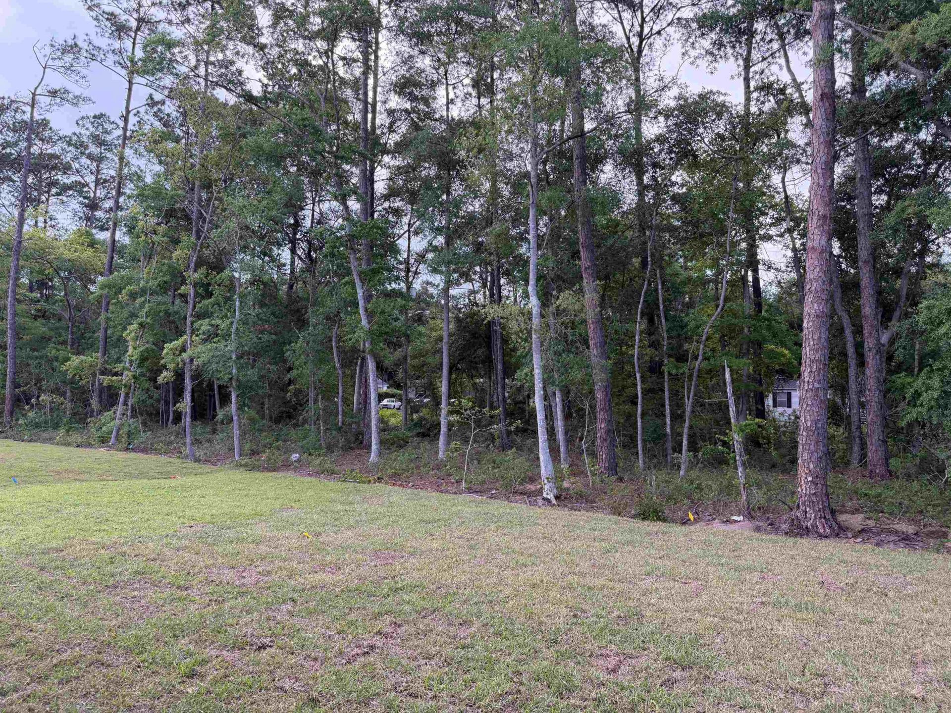 98 Anna Marie Way Photo 38