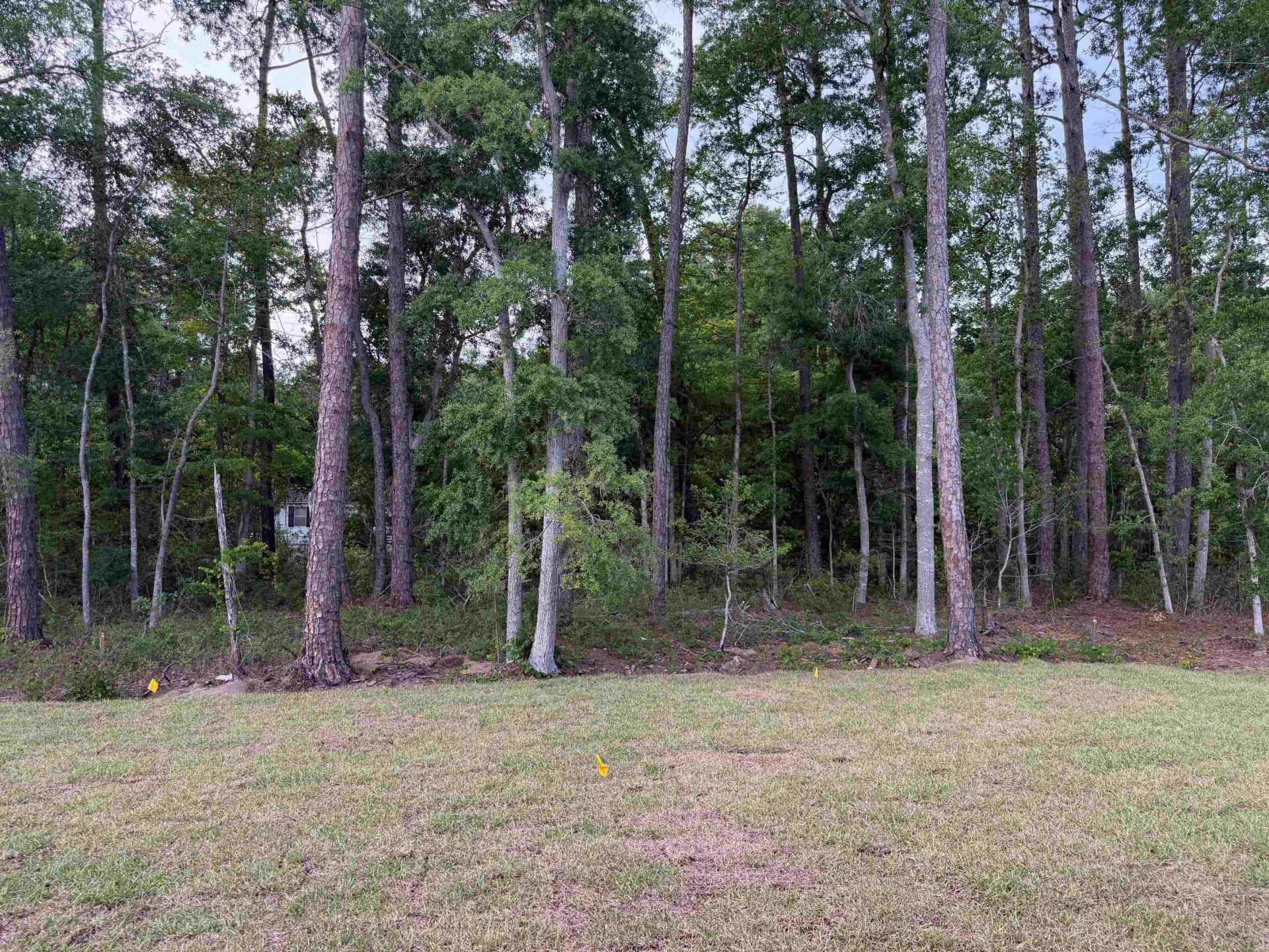 98 Anna Marie Way Photo 39