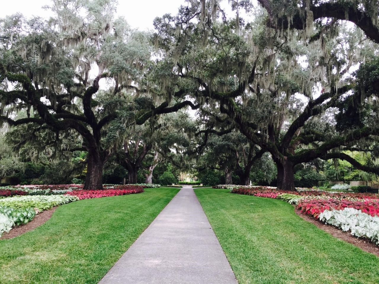 98 Anna Marie Way Photo 6