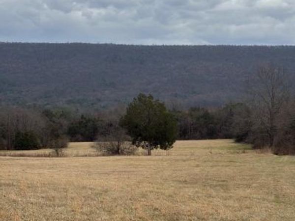 ZEPP ROAD, MAURERTOWN, VA 22644