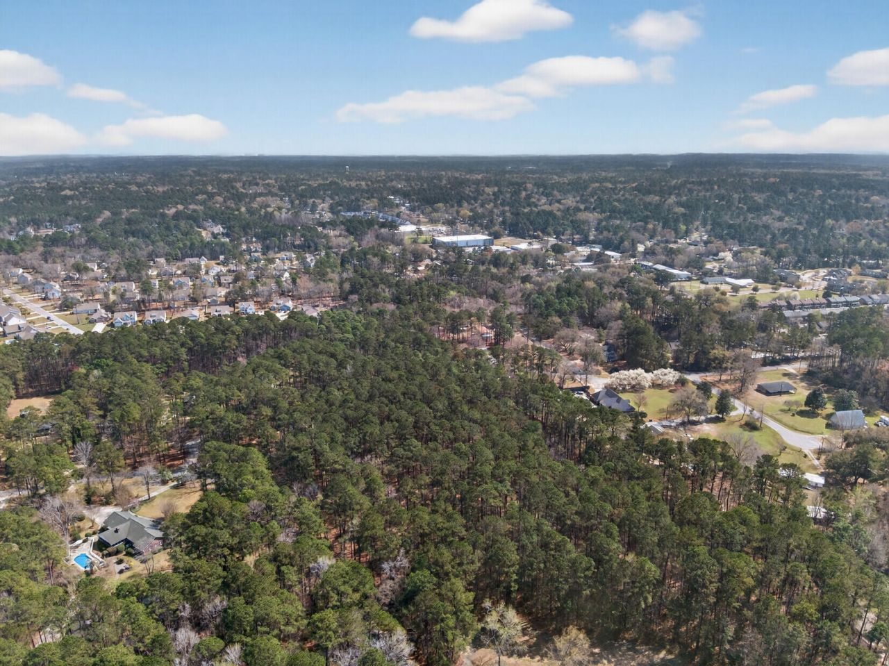 103 Caveson Drive Photo 6