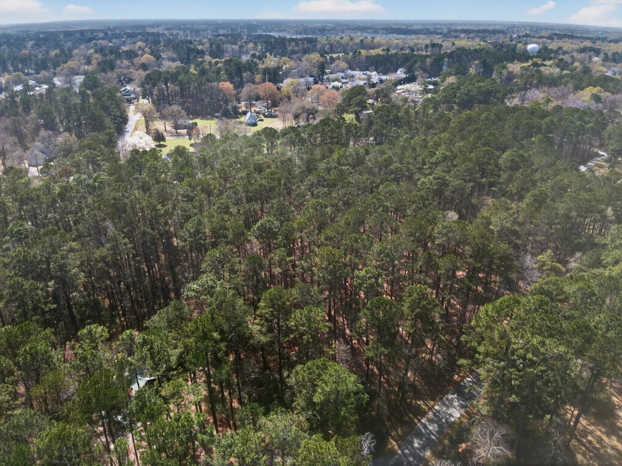 103 Caveson Drive Photo 8