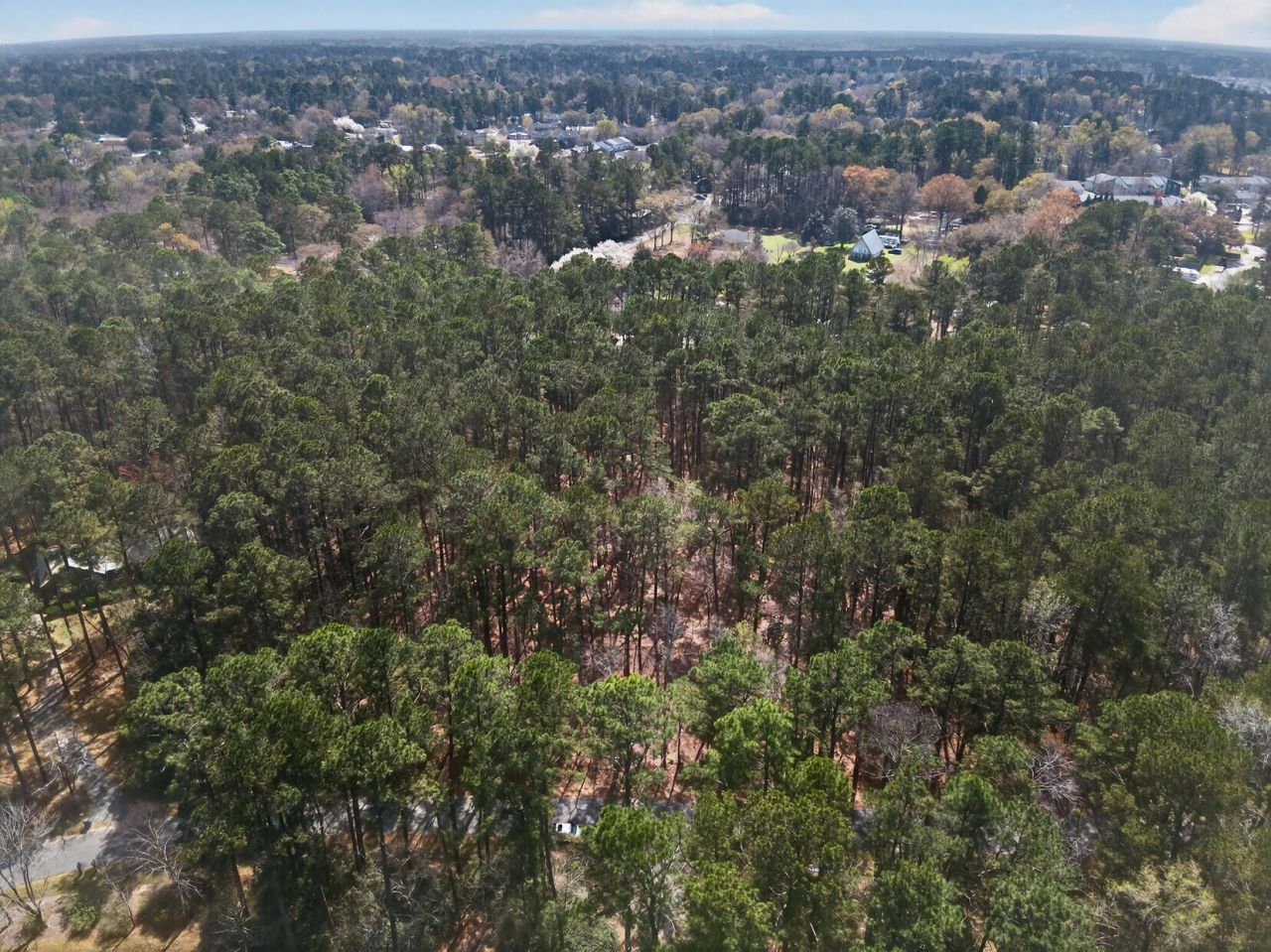 103 Caveson Drive Photo 9