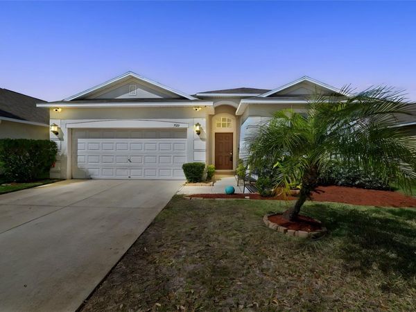 920 PEREGRINE HILL PLACE , RUSKIN, FL 33570