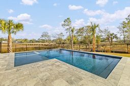 118 Collins Hill Lane photo 4