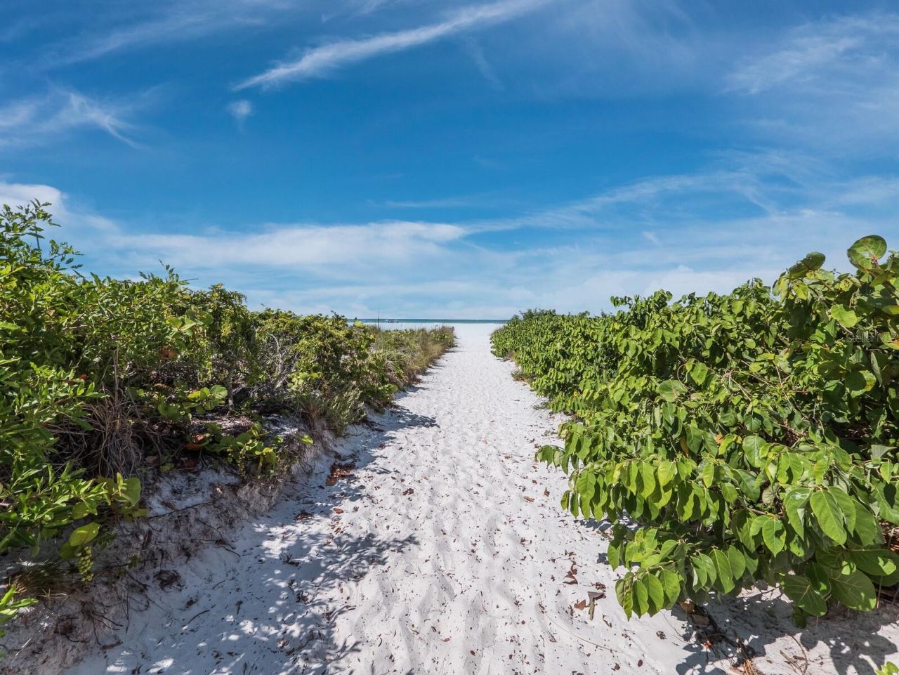 951 Contento St., Siesta Key, FL 34242 Photo