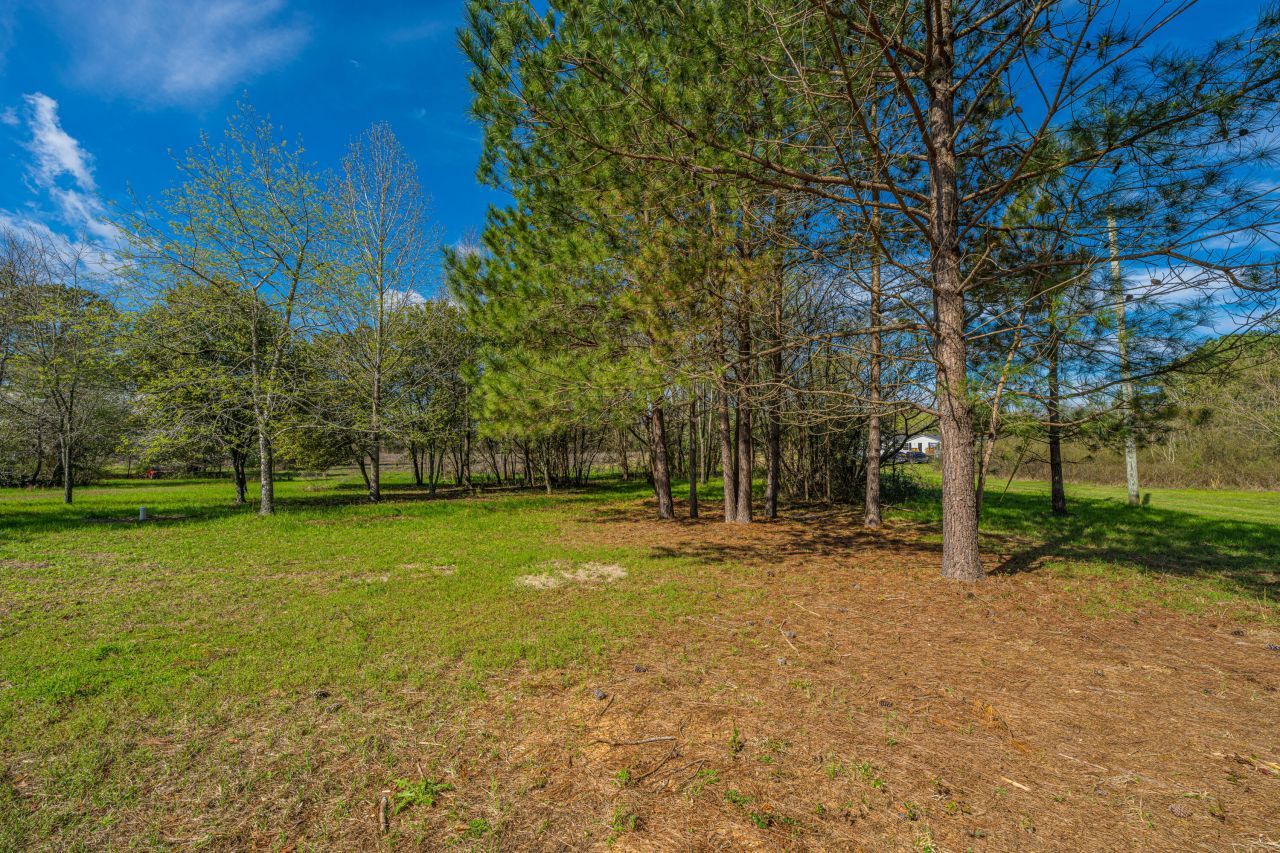 268 Rodeo Drive Photo 54