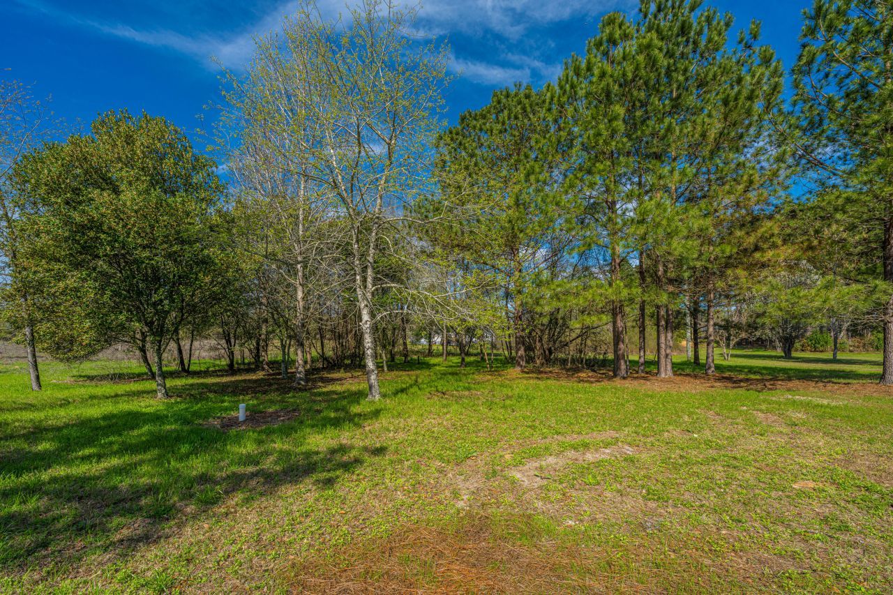 268 Rodeo Drive Photo 56