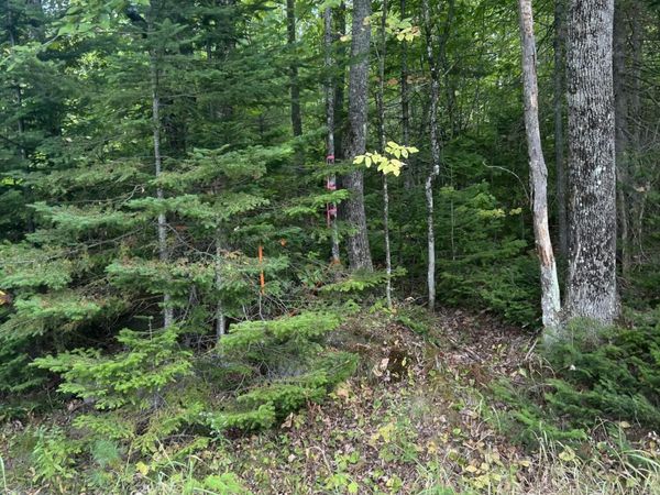 M4L46-1 Church Street, Brownville, ME 04414