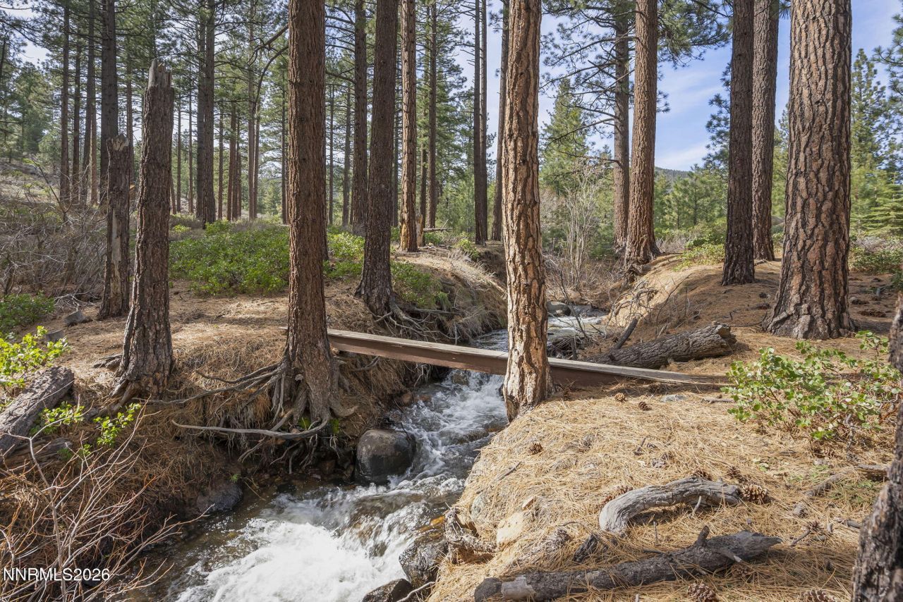 1155 Douglas Fir Drive, Reno, NV 89511 Photo