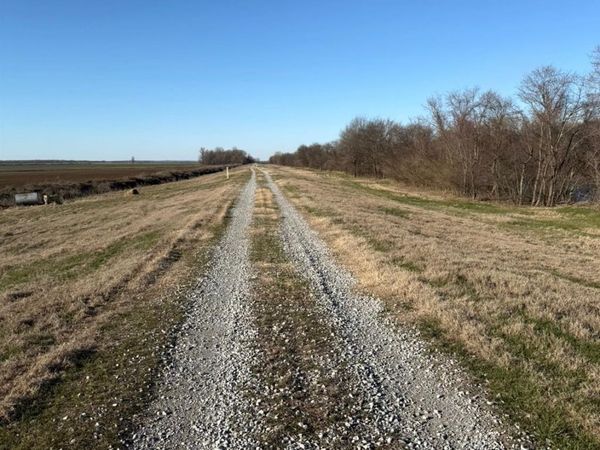 7785 Highway 412, Paragould, AR 72450