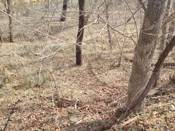 0 Starlight LN , Boones Mill, VA 24065