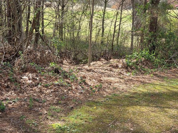 521 Birkdale Boulevard, Carrollton, GA 30116